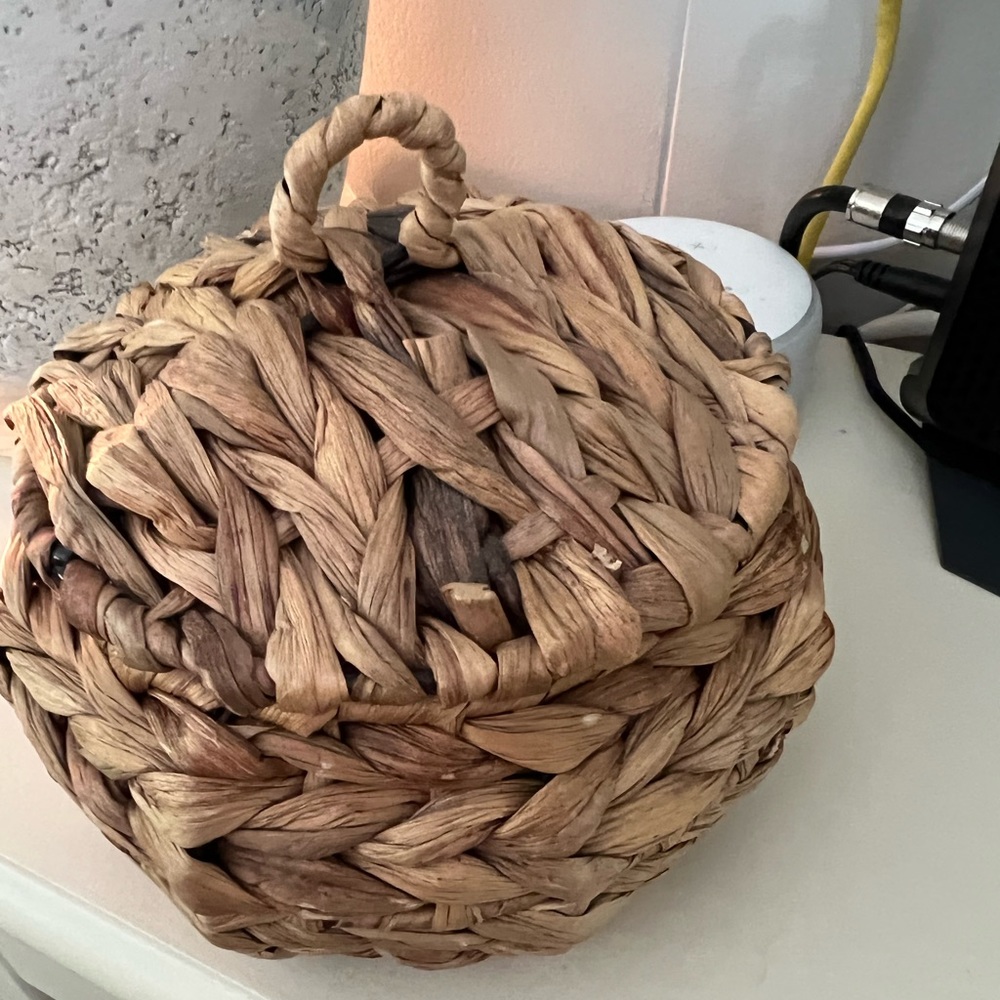 Threshold Woven Canister